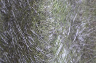 Berwick Bassett fibreglass roof work